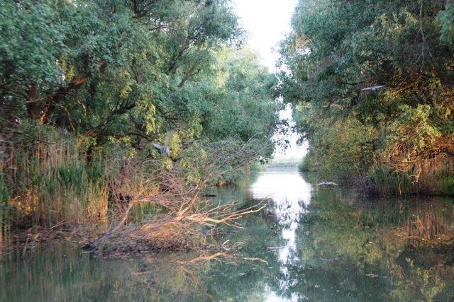 Delta Dunarii - 6.jpg